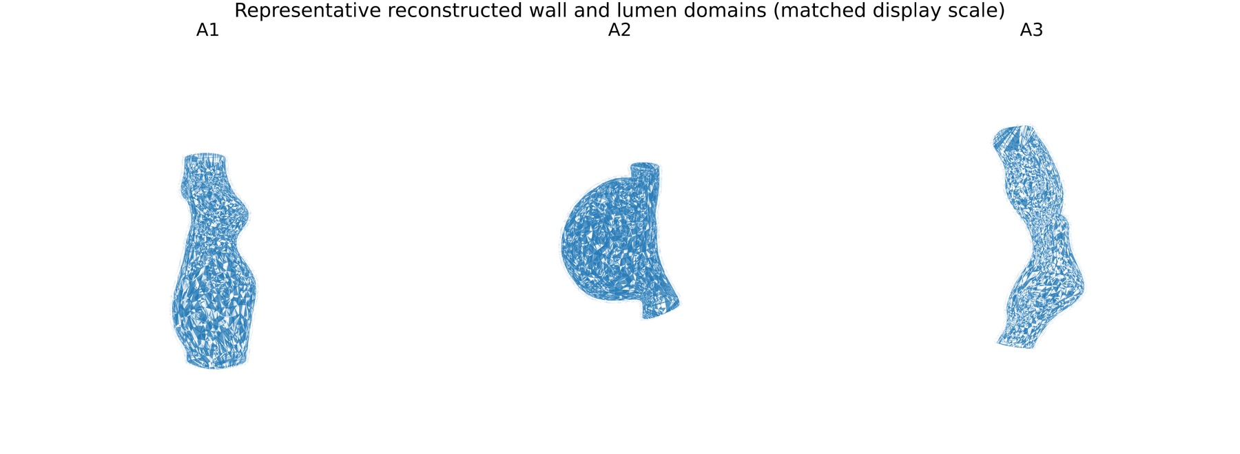 Reconstructed aortic geometries A1-A3 with lumen and wall domains.