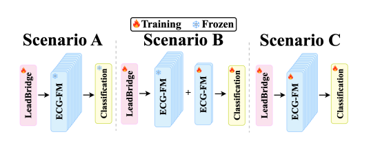 ProFine scenarios A, B, and C showing frozen versus trainable LeadBridge, ECG-FM, and classification head.