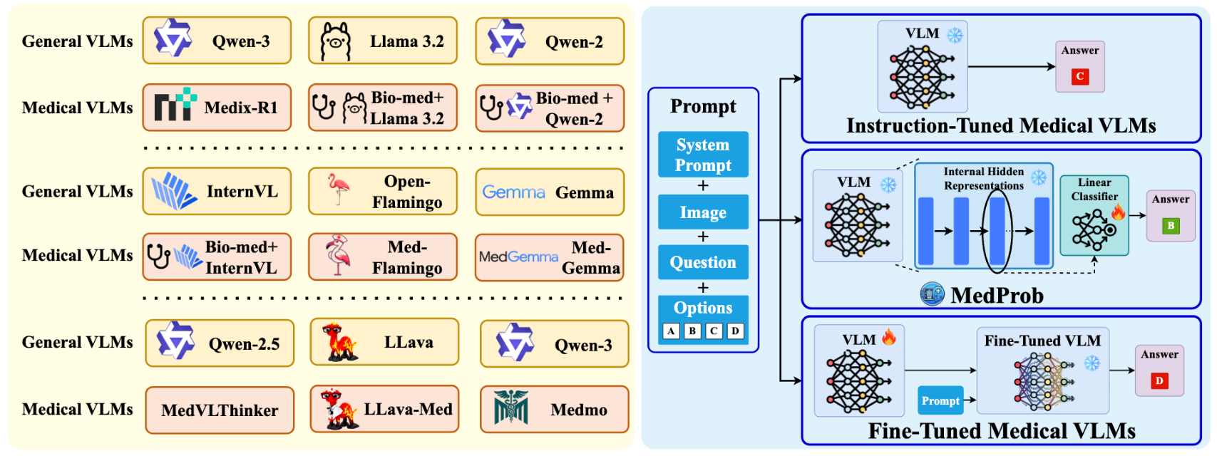 Overview of MedProb: evaluated VLMs and prompting, probing, and fine-tuned prompting settings.